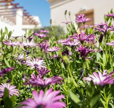 Lighthouse Luxury Townhouse 3 * Paphos